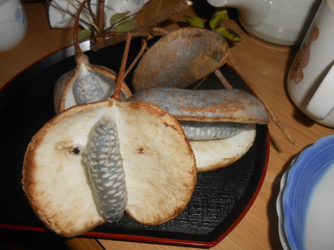 DSCN8649