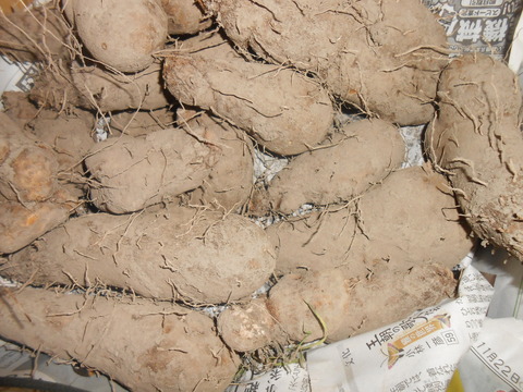 DSCN7210