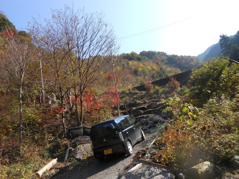 DSCN3071