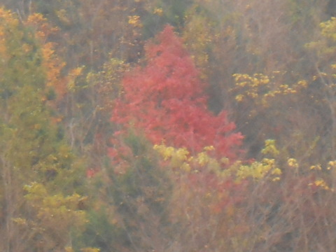 DSCN7092
