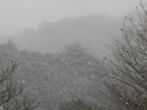 DSCN8880