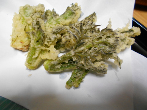 DSCN0778