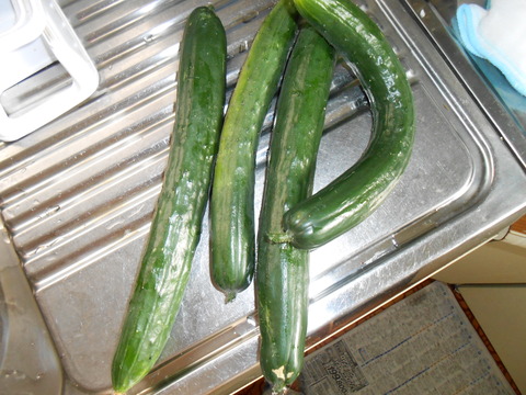 DSCN2004