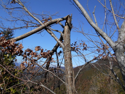 DSCN0563