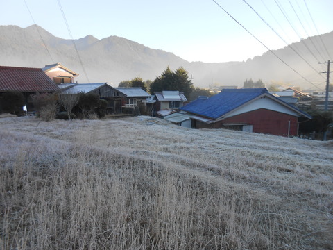 DSCN8828