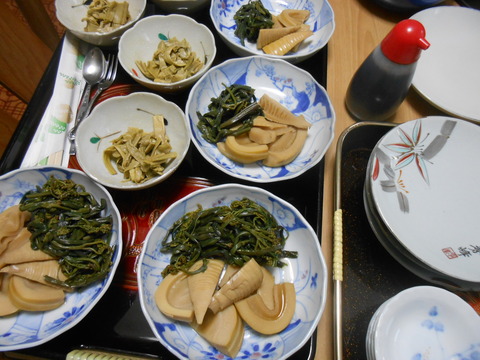 DSCN9221
