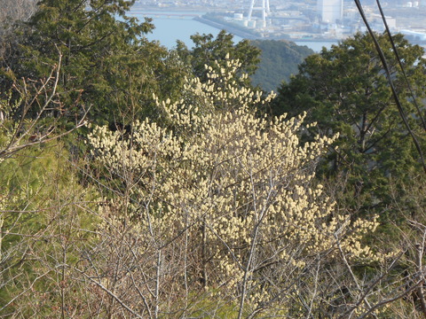 DSCN1420