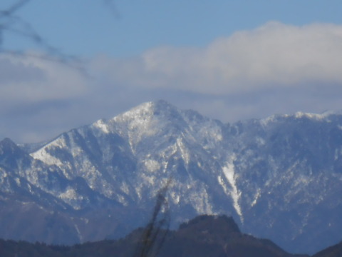 DSCN7507