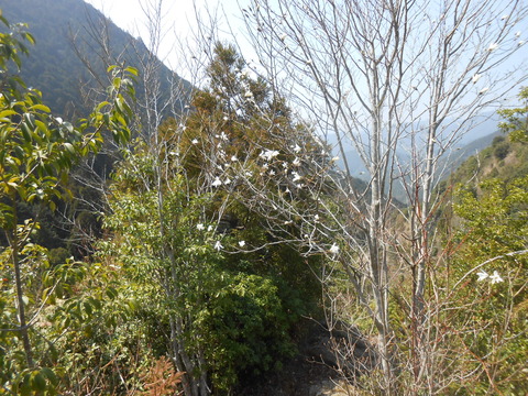 DSCN9054