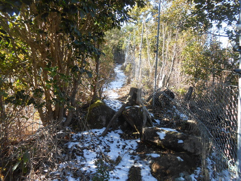 DSCN7371