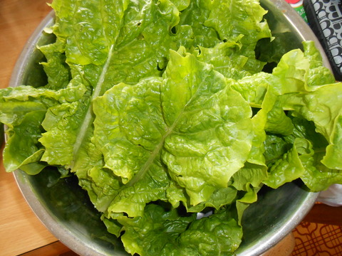 DSCN2003