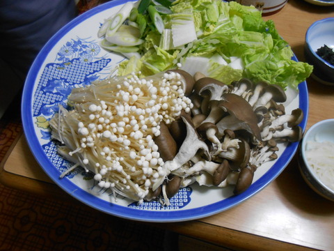 DSCN7676