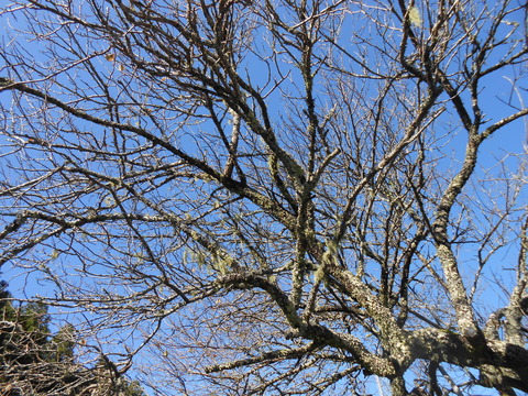 DSCN3075