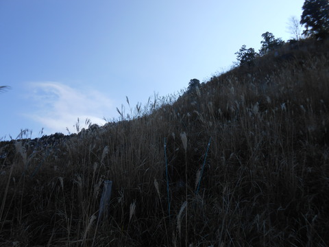 DSCN3066