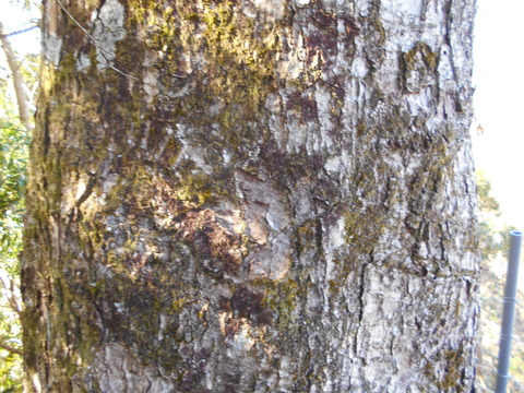 DSCN0571