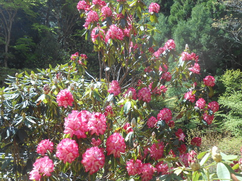 DSCN9167