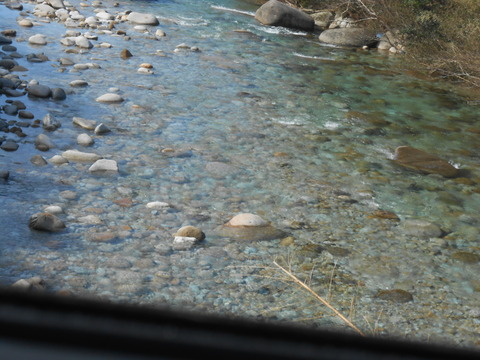 DSCN8738