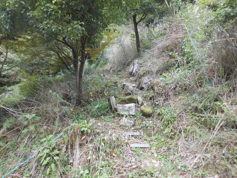 DSCN6738