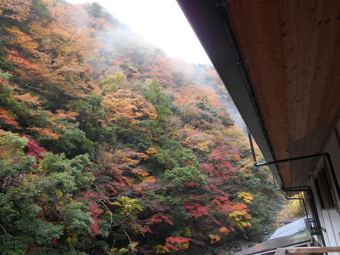 DSCN0420