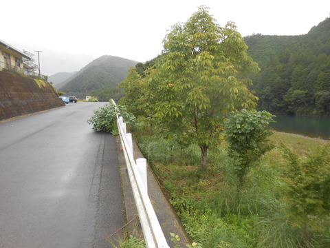DSCN8631