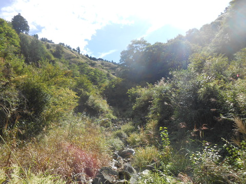 DSCN6732