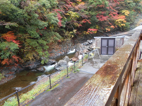 DSCN0421