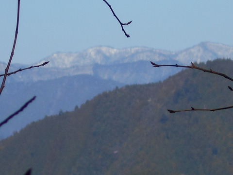 DSCN0788