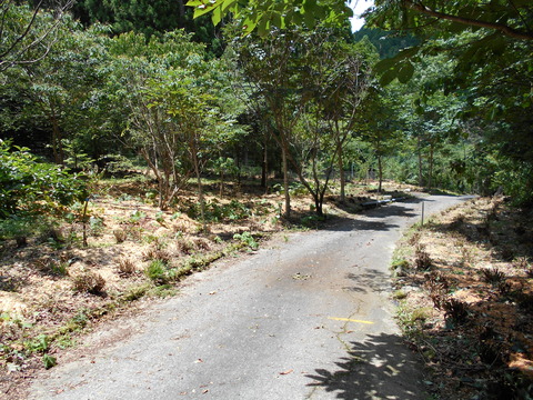 DSCN0020