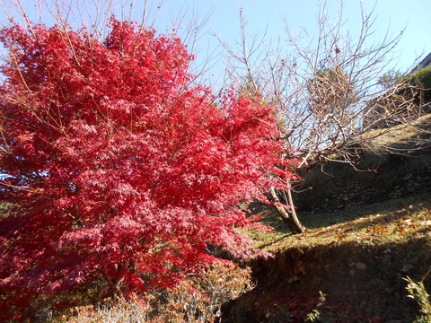 DSCN3073
