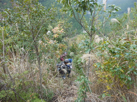 DSCN5113