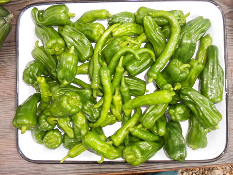 DSCN4258