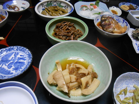 DSCN7995