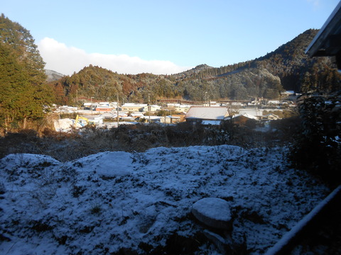 DSCN7483