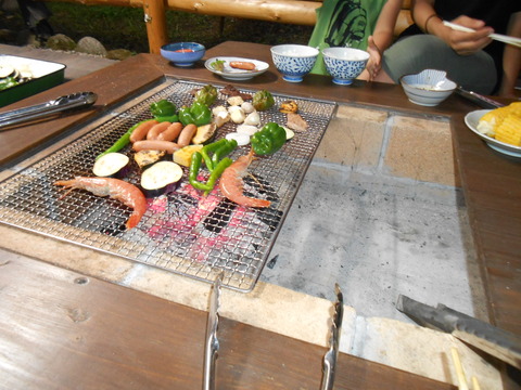DSCN4391