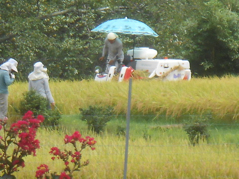 DSCN6671