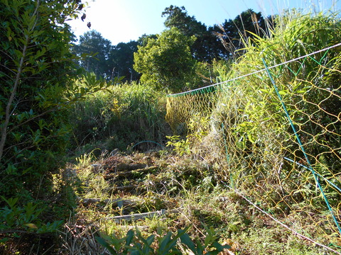 DSCN0092