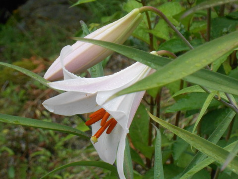 DSCN9383