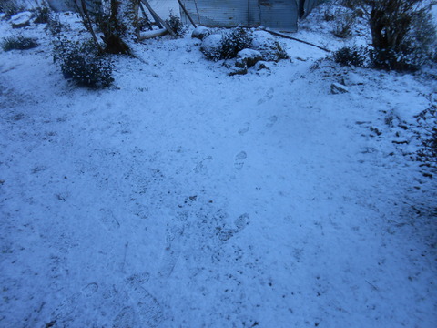 DSCN7486