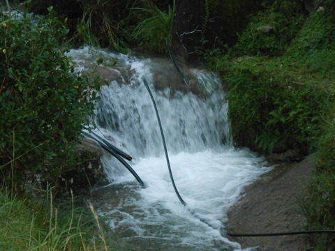 DSCN8677