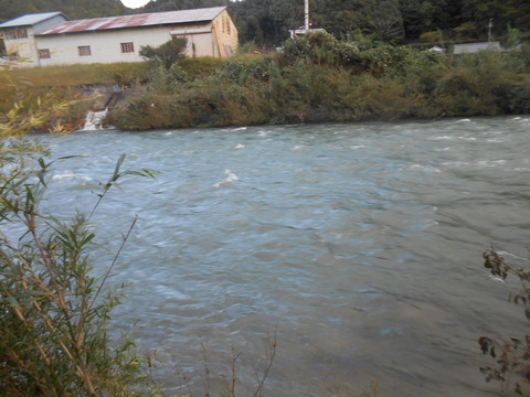 DSCN8679