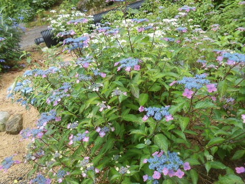 DSCN9378