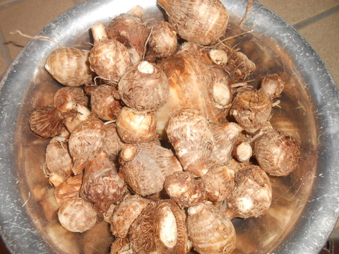 DSCN7209
