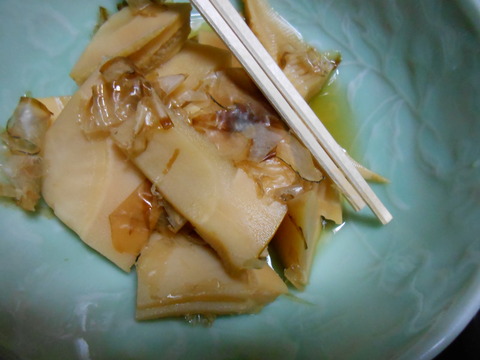 DSCN1664