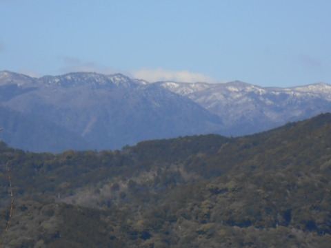 DSCN1446