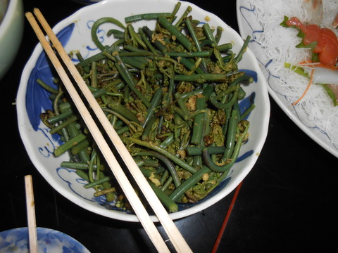 DSCN1662