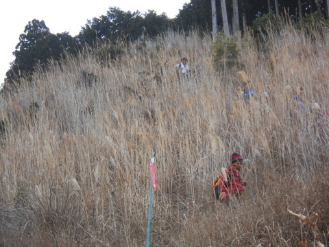 DSCN5480