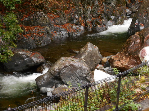 DSCN0424