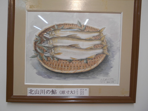 DSCN0585