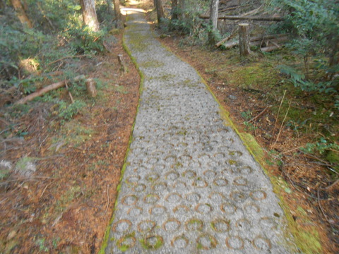 DSCN7286