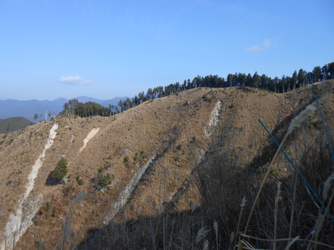 DSCN3064